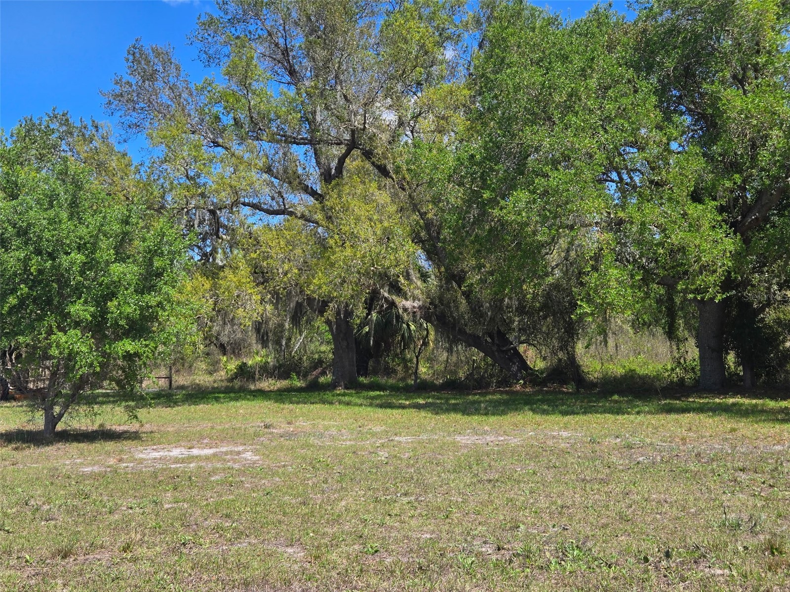 NW 70 Highway NW Arcadia FL 34266 C7526003 image10