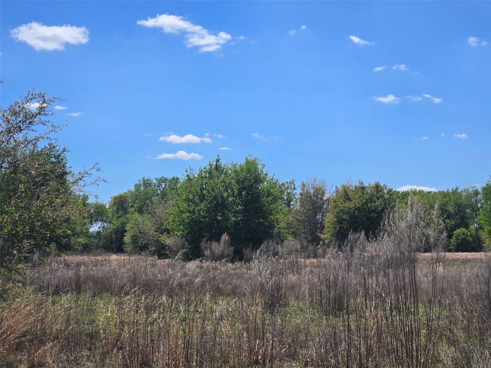 NW 70 Highway NW Arcadia FL 34266 C7526003 image11