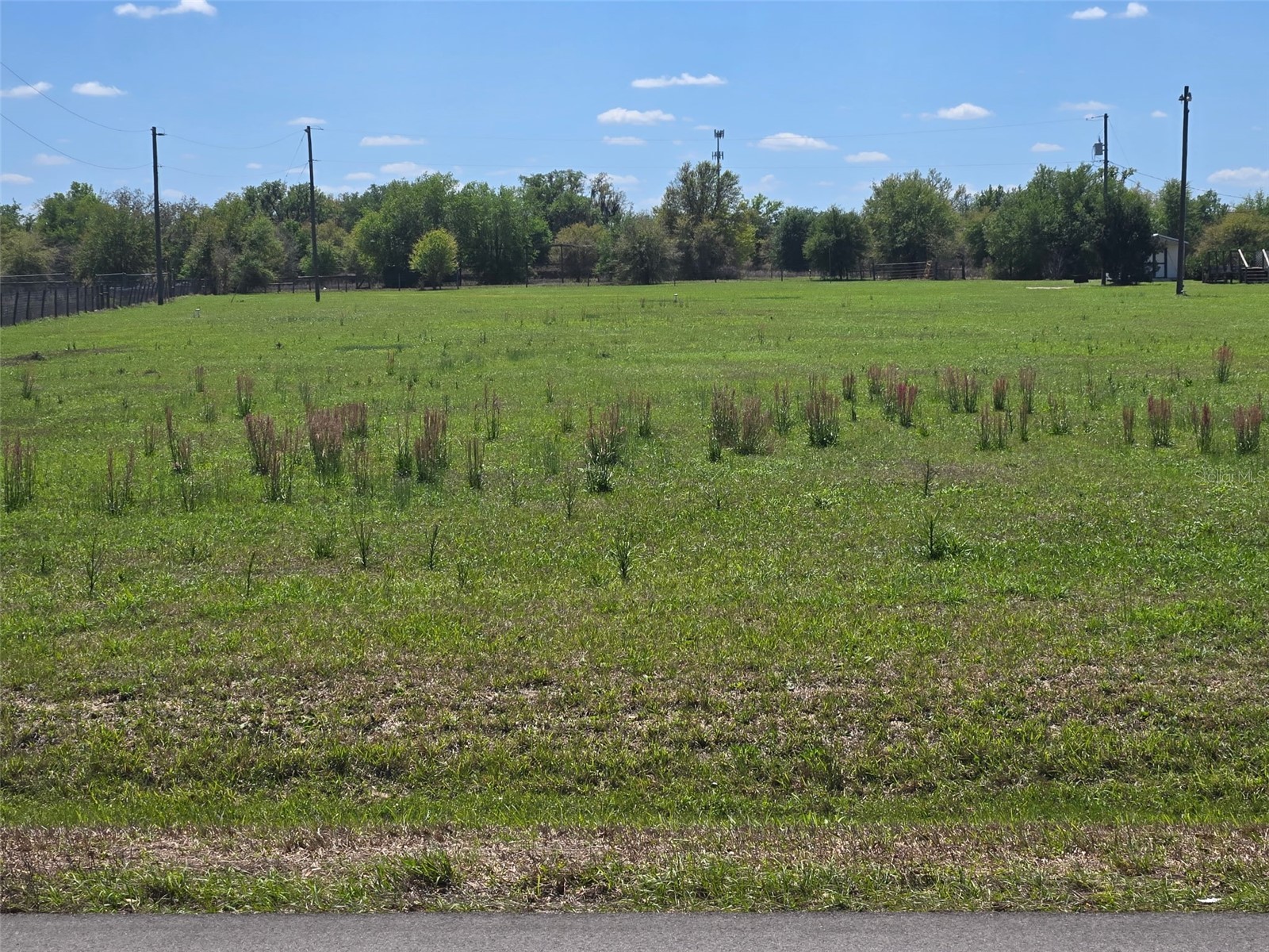 NW 70 Highway NW Arcadia FL 34266 C7526003 image2