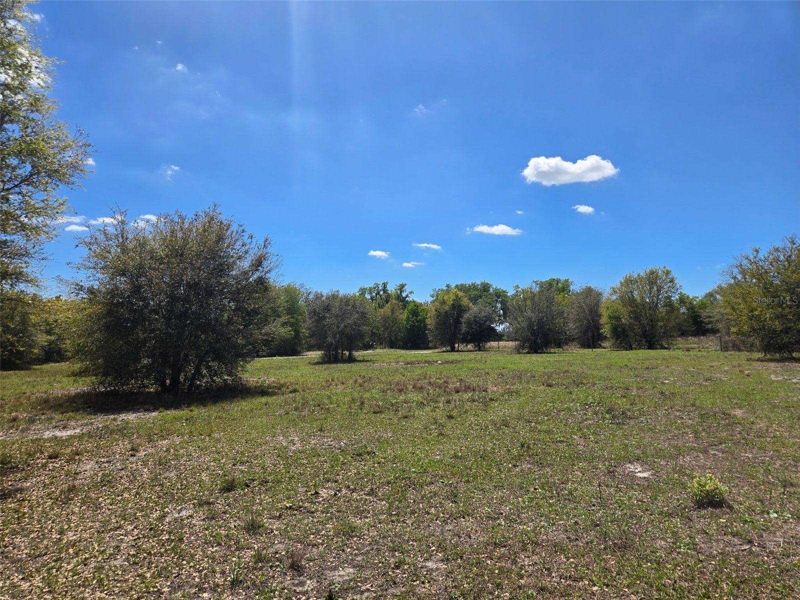 NW 70 Highway NW Arcadia FL 34266 C7526003 image4