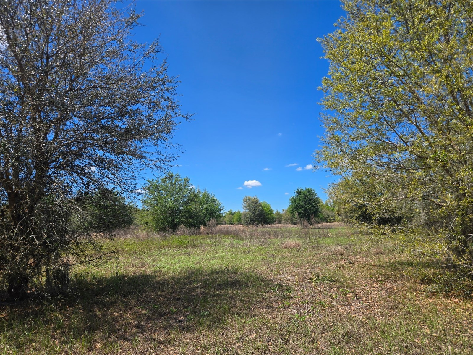 NW 70 Highway NW Arcadia FL 34266 C7526003 image5