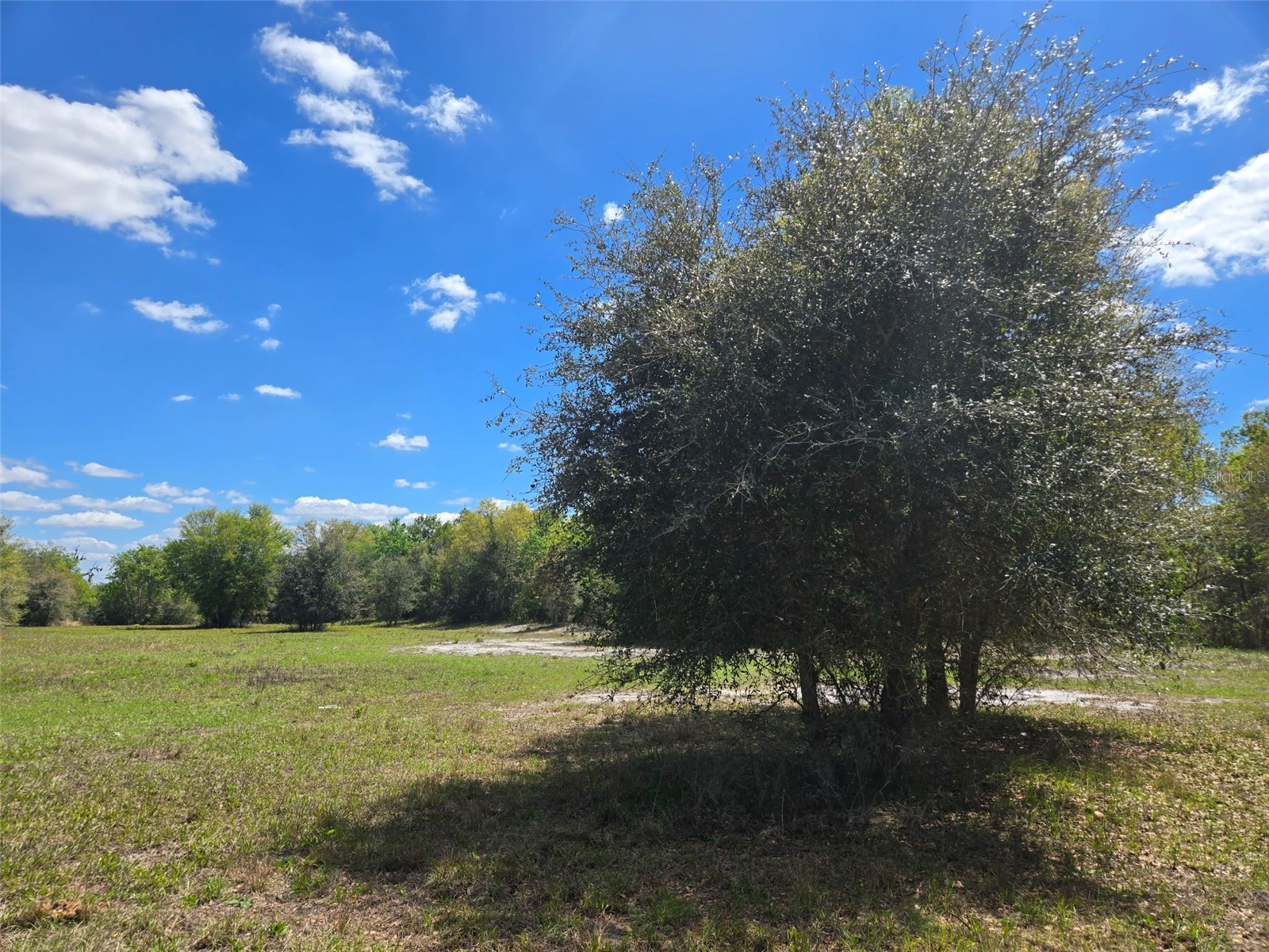 NW 70 Highway NW Arcadia FL 34266 C7526003 image6