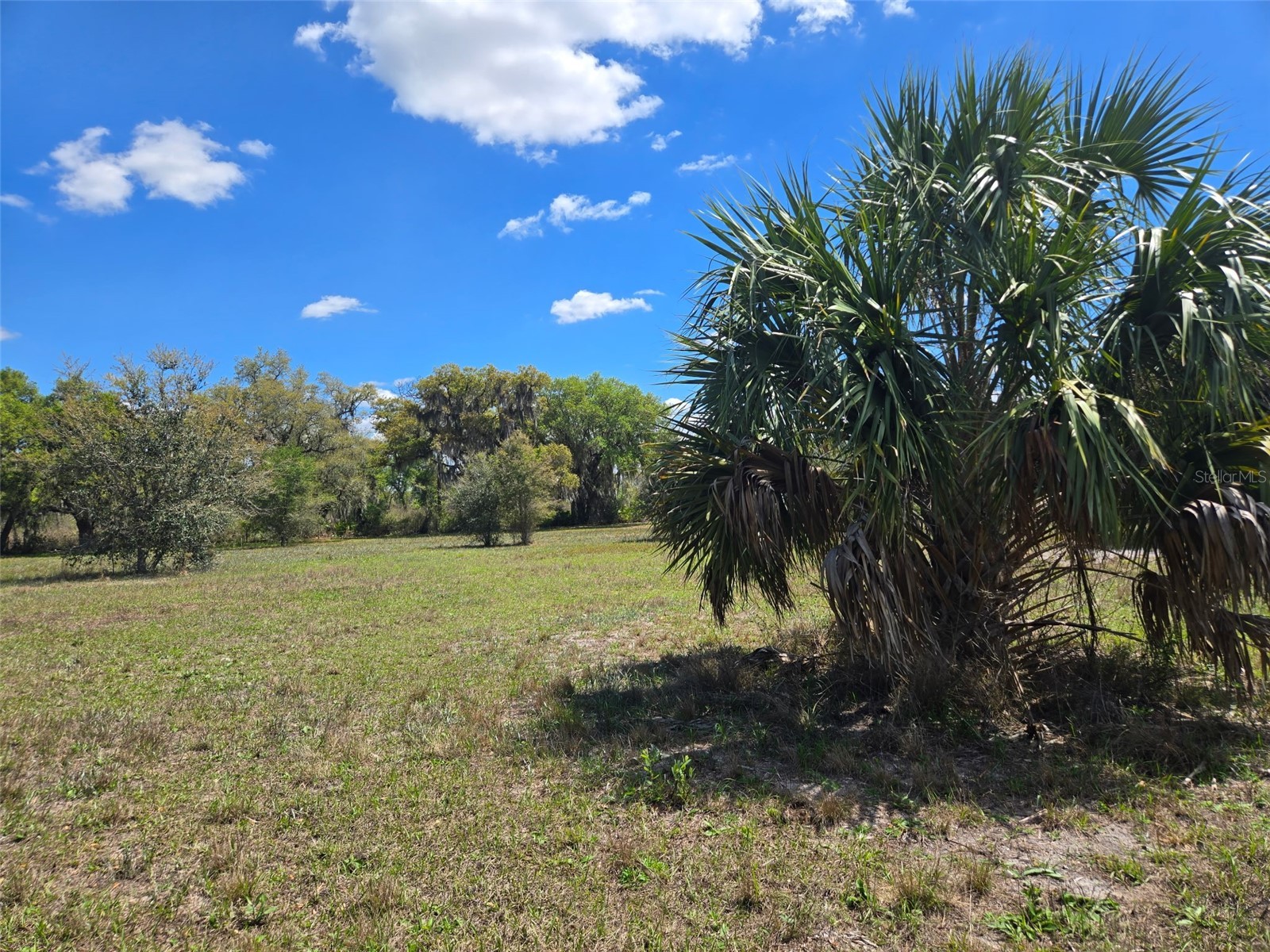 NW 70 Highway NW Arcadia FL 34266 C7526003 image9