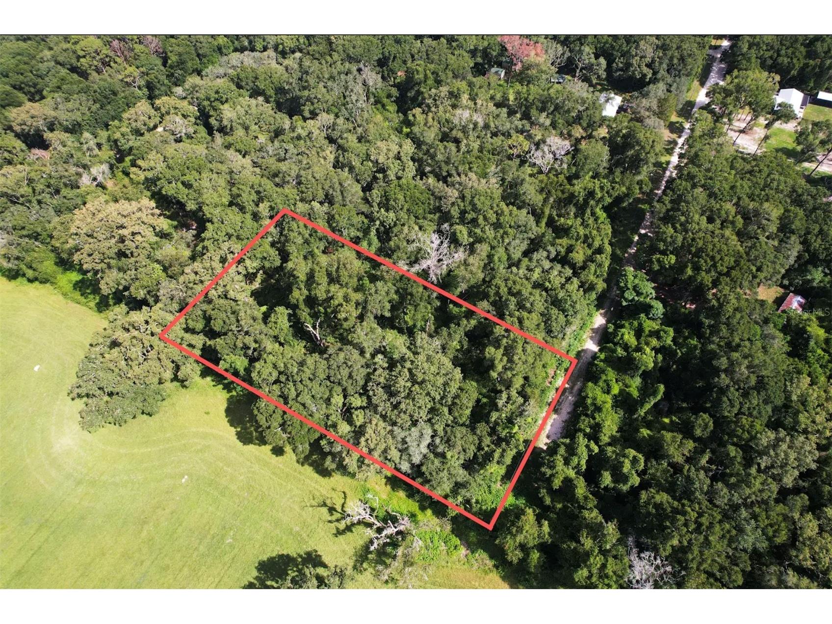 NW 73rd Terrace Trenton FL 32693 O6425250 image1