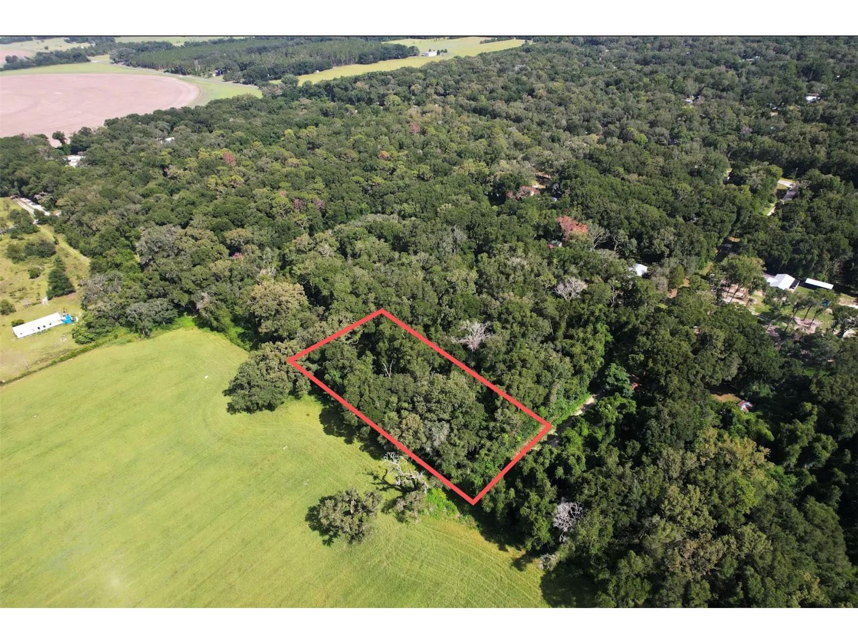 NW 73rd Terrace Trenton FL 32693 O6425250 image2