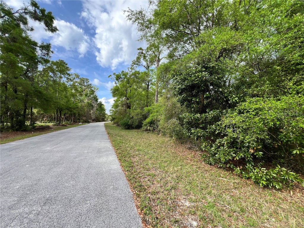 NW 74th Court #111 Chiefland FL 32626 W7874660 image12