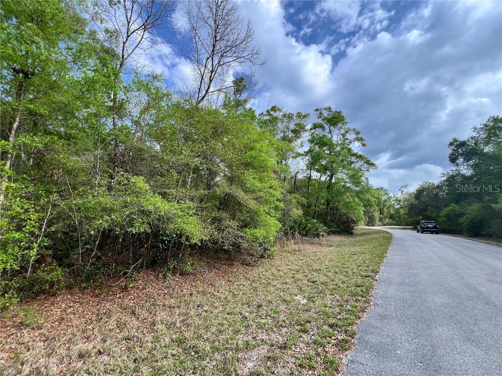 NW 74th Court #111 Chiefland FL 32626 W7874660 image13