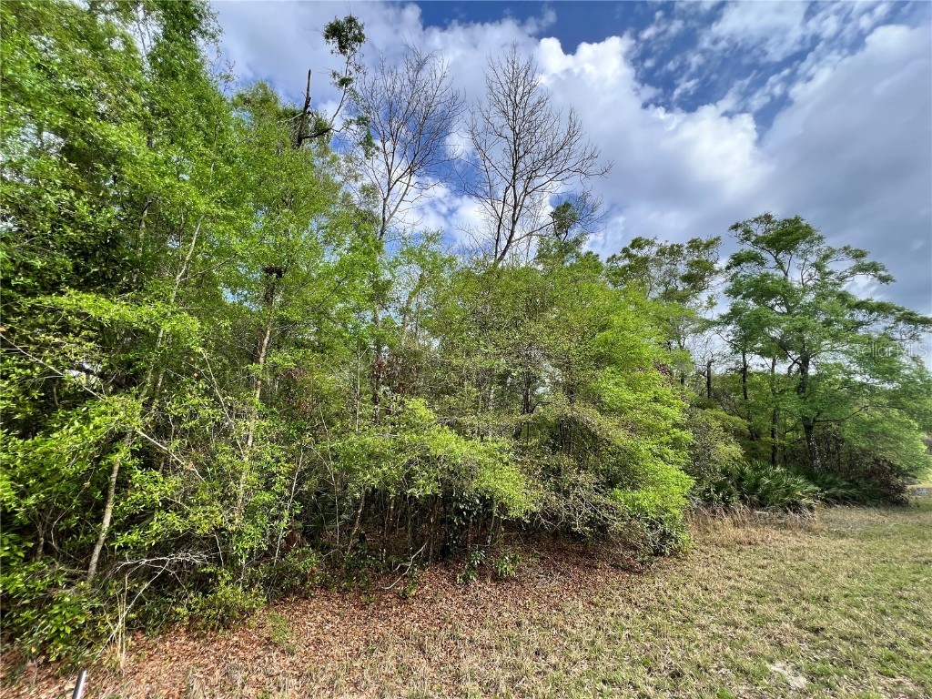 NW 74th Court #111 Chiefland FL 32626 W7874660 image14