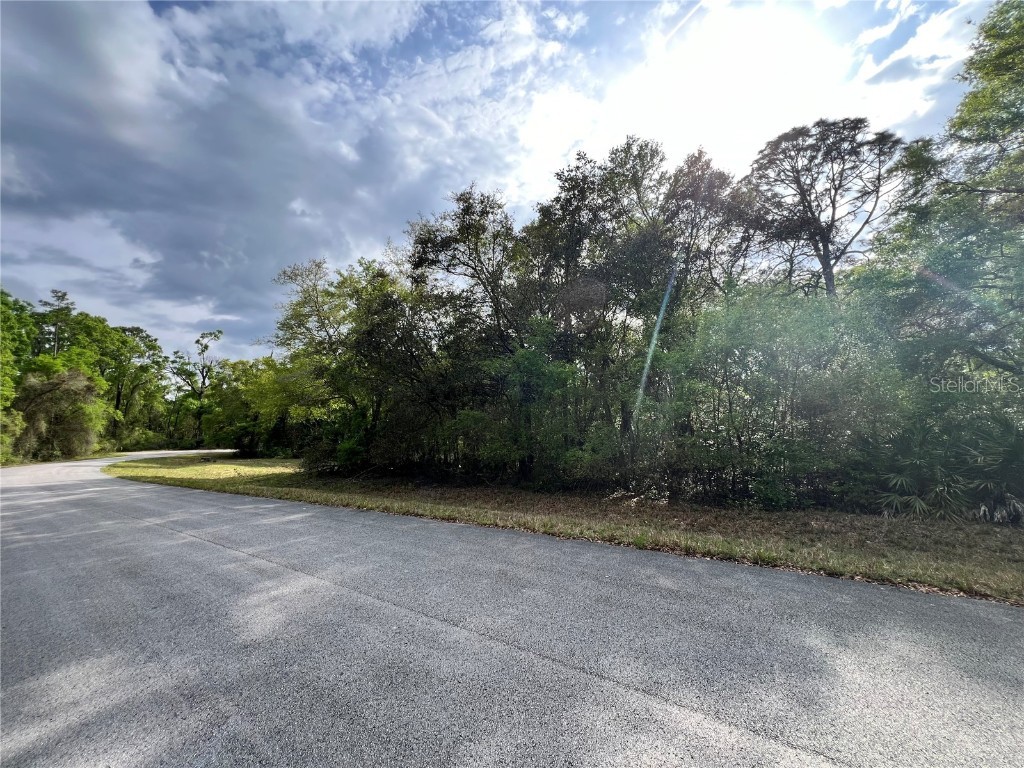 NW 74th Court #111 Chiefland FL 32626 W7874660 image4