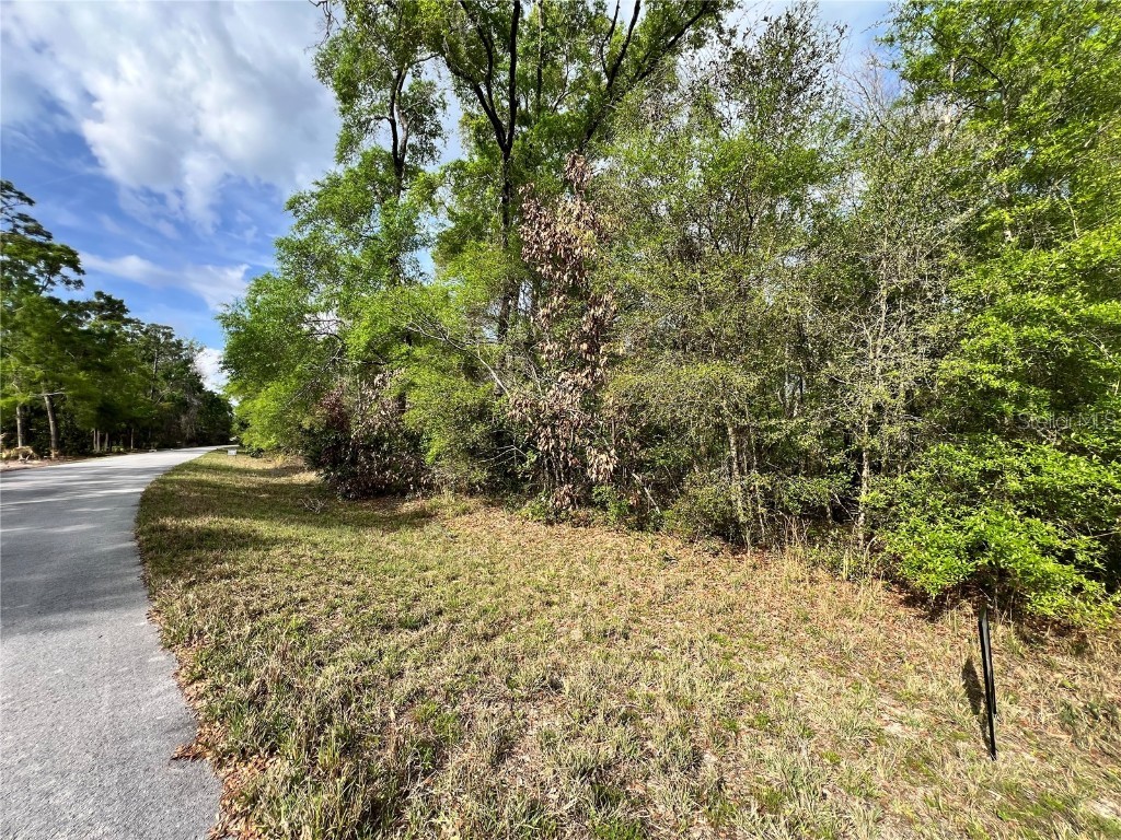 NW 74th Court #111 Chiefland FL 32626 W7874660 image6