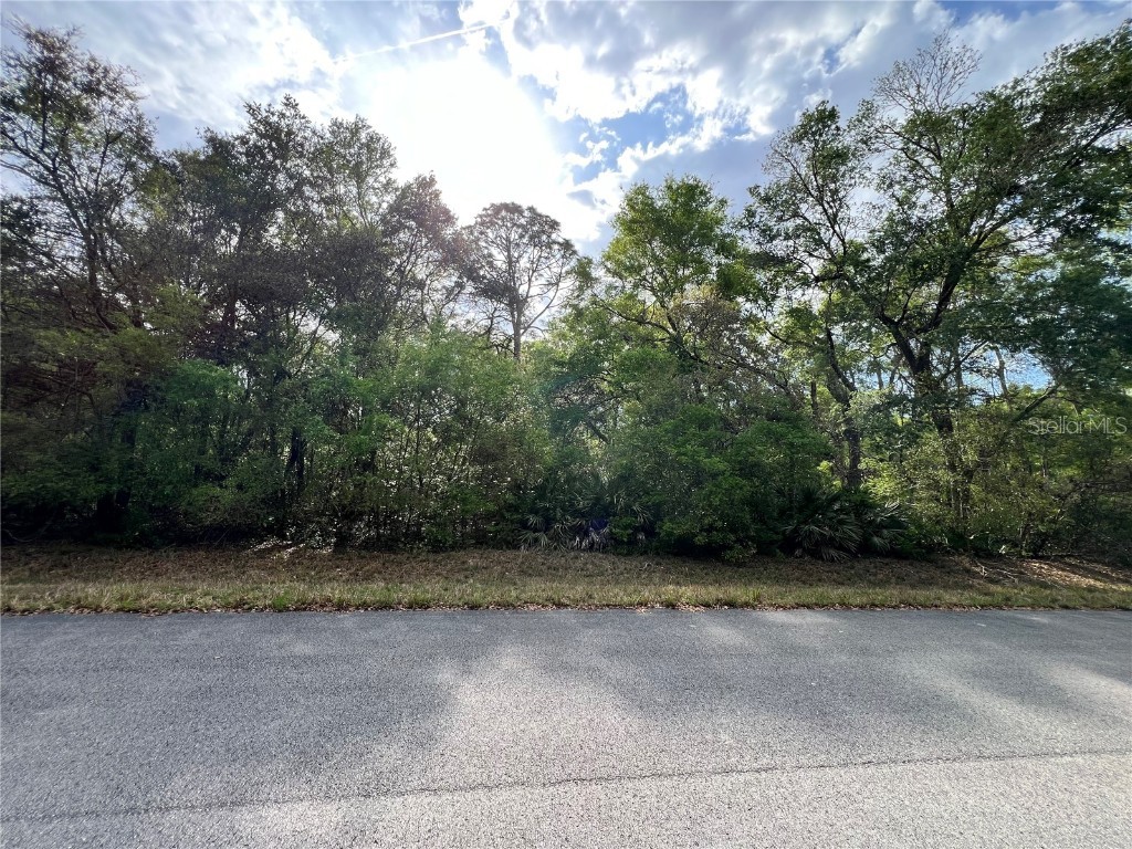 NW 74th Court #112 Chiefland FL 32626 W7874664 image4