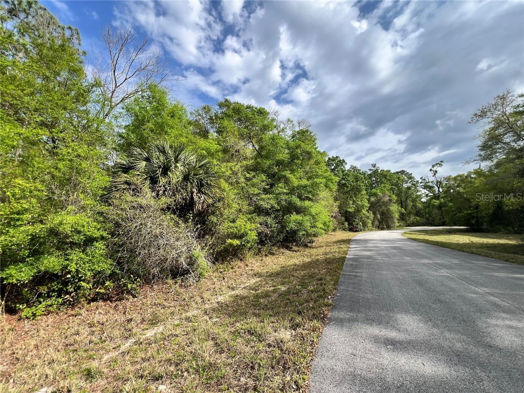 NW 74th Court #112 Chiefland FL 32626 W7874664 image8