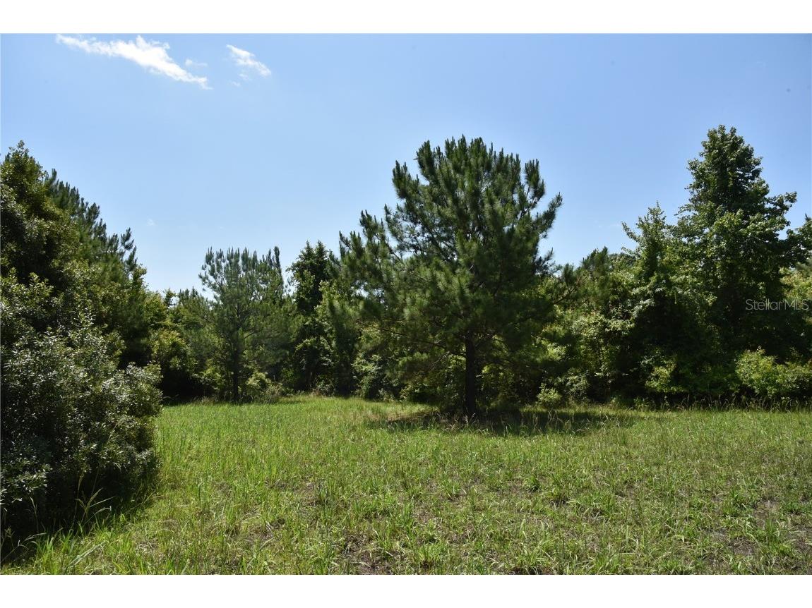 Nw 75th St Alachua FL 32615 OM678578 image1
