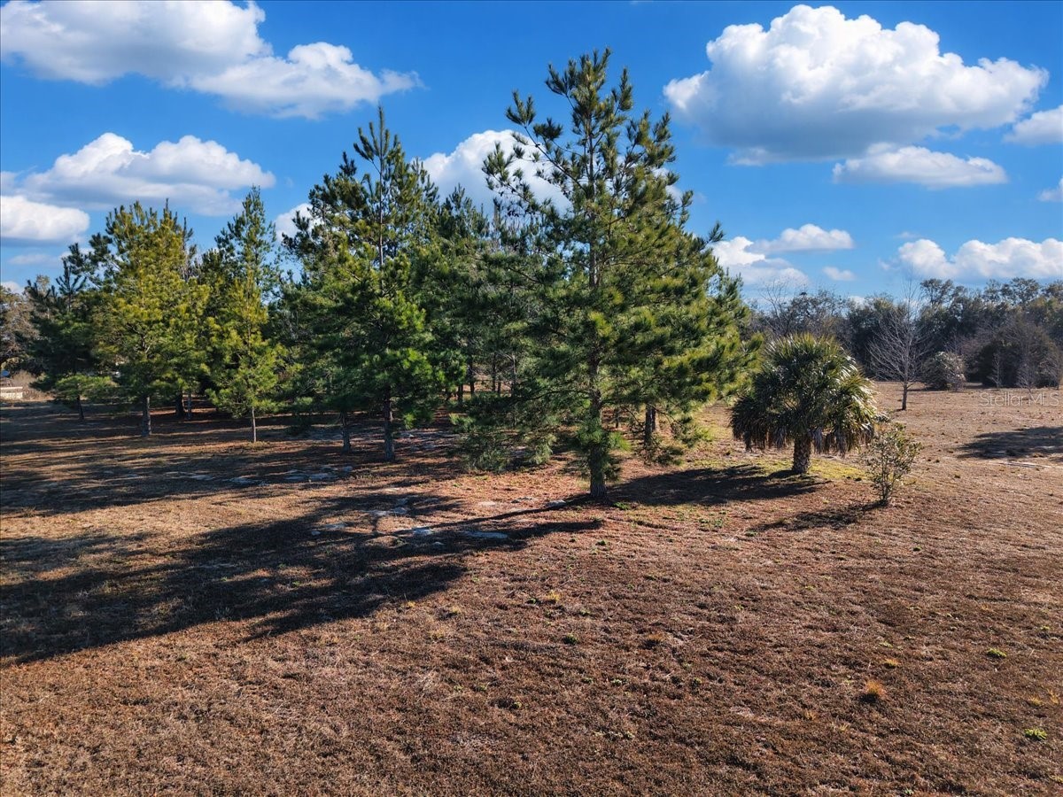 NW 76th Avenue Chiefland FL 32626 W7882862 image3