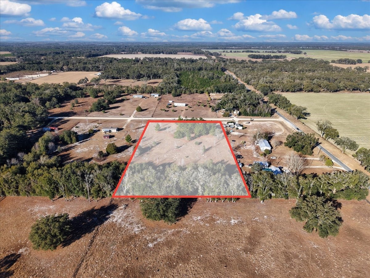 NW 76th Avenue Chiefland FL 32626 W7882862 image6