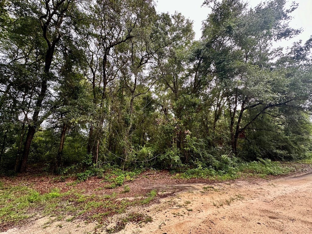 NW 76th Terrace Chiefland FL 32626 GC525884 image4