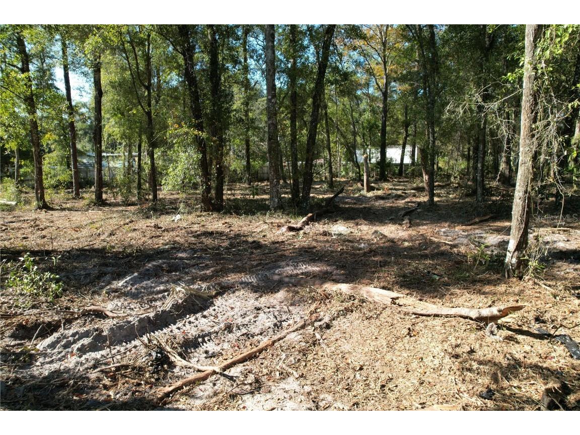 NW 7th Place Ocala FL 34482 O6363196 image1