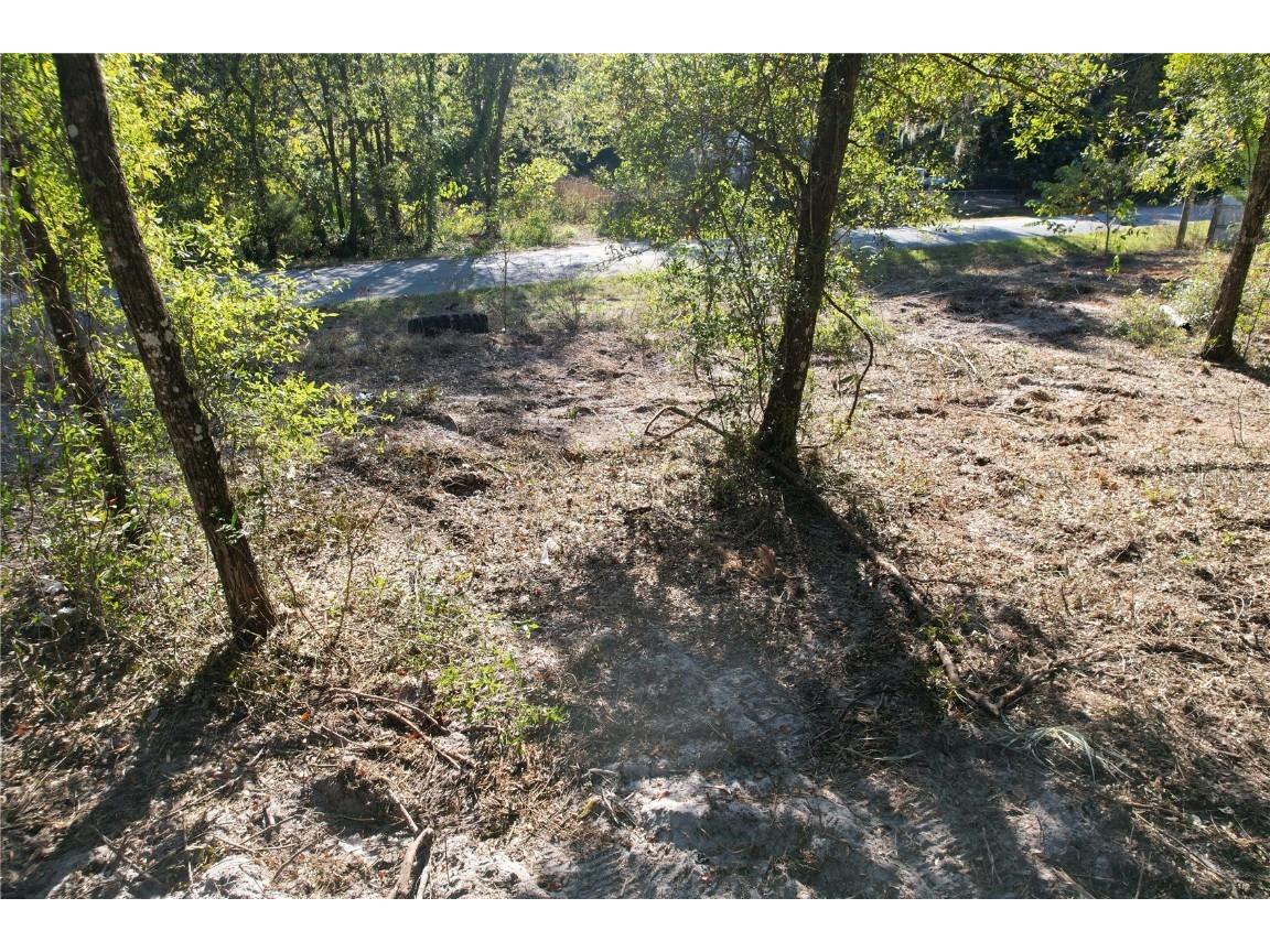 NW 7th Place Ocala FL 34482 O6363196 image5