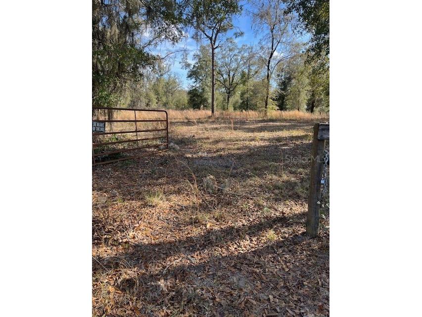NW 7th Street Ocala FL 34482 OM719128 image1