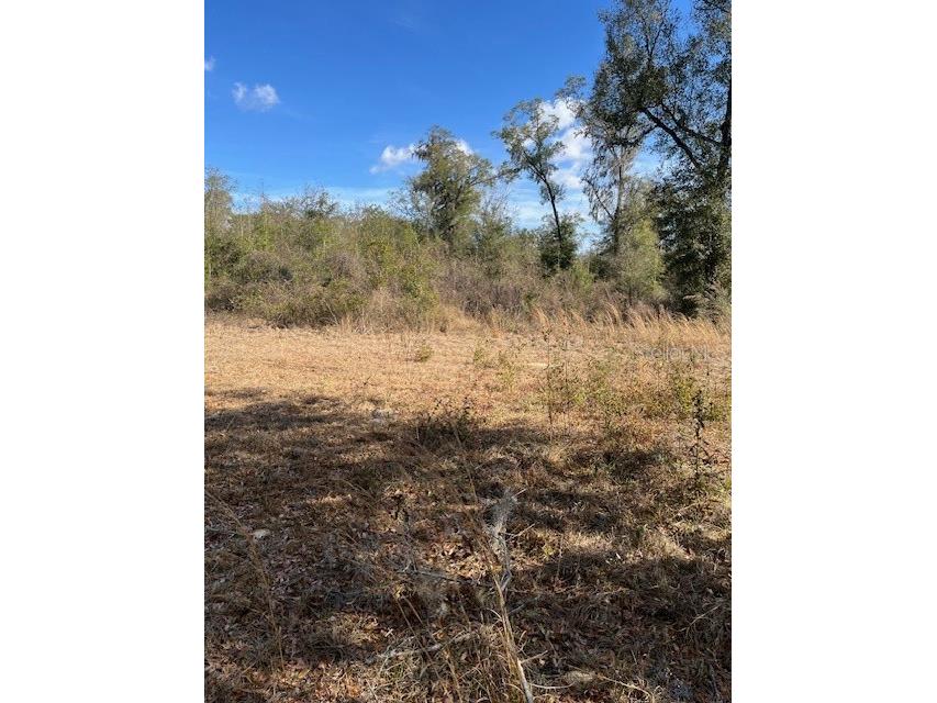 NW 7th Street Ocala FL 34482 OM719128 image3