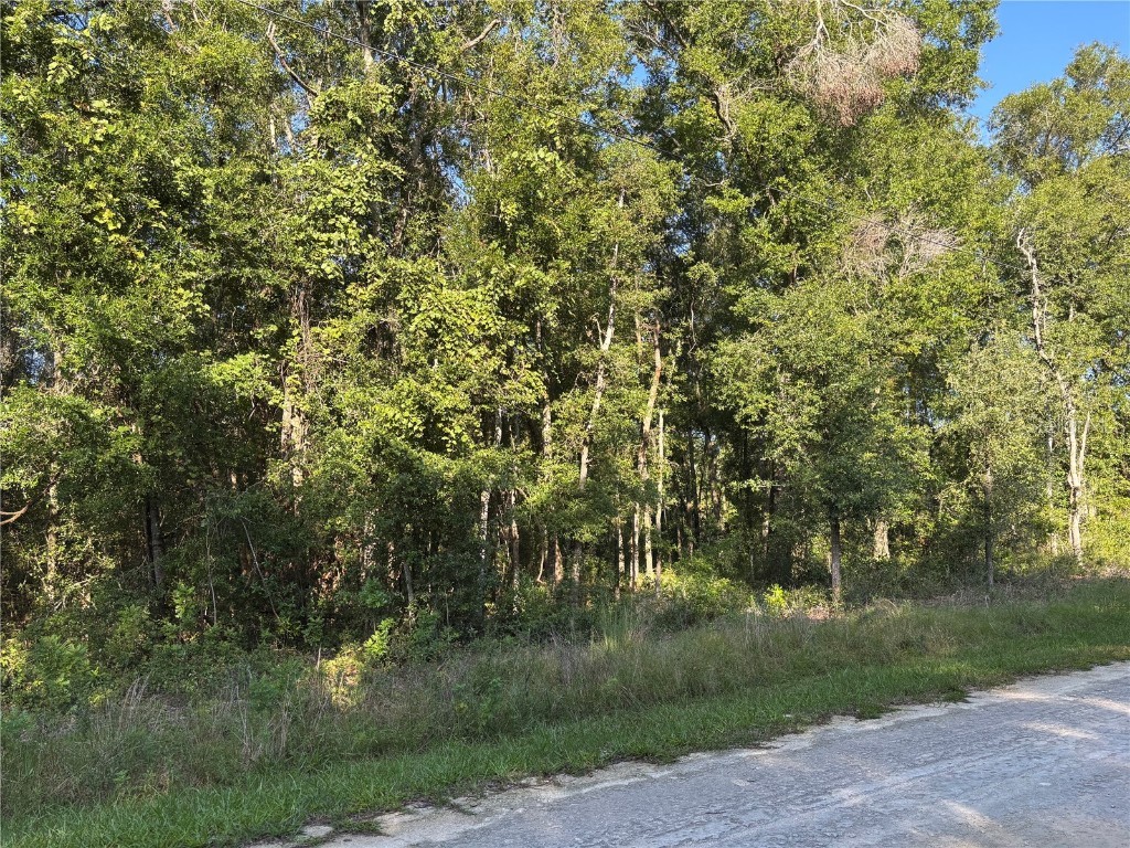 Nw 80th Court Fanning Springs FL 32693 GC533299 image4