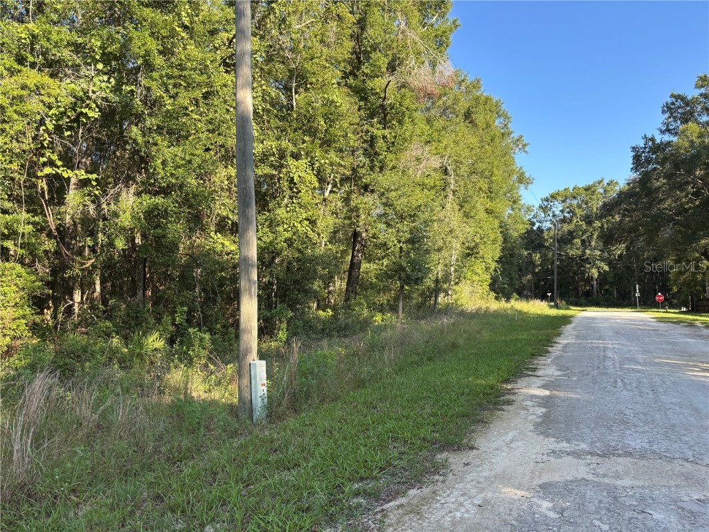 Nw 80th Court Fanning Springs FL 32693 GC533299 image5