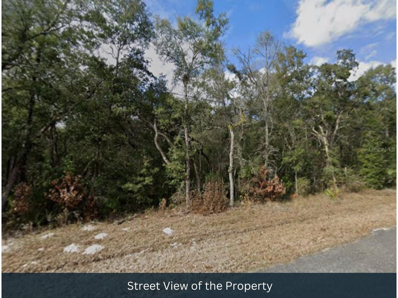 NW 85th Avenue Chiefland FL 32626 TB8480624 image12