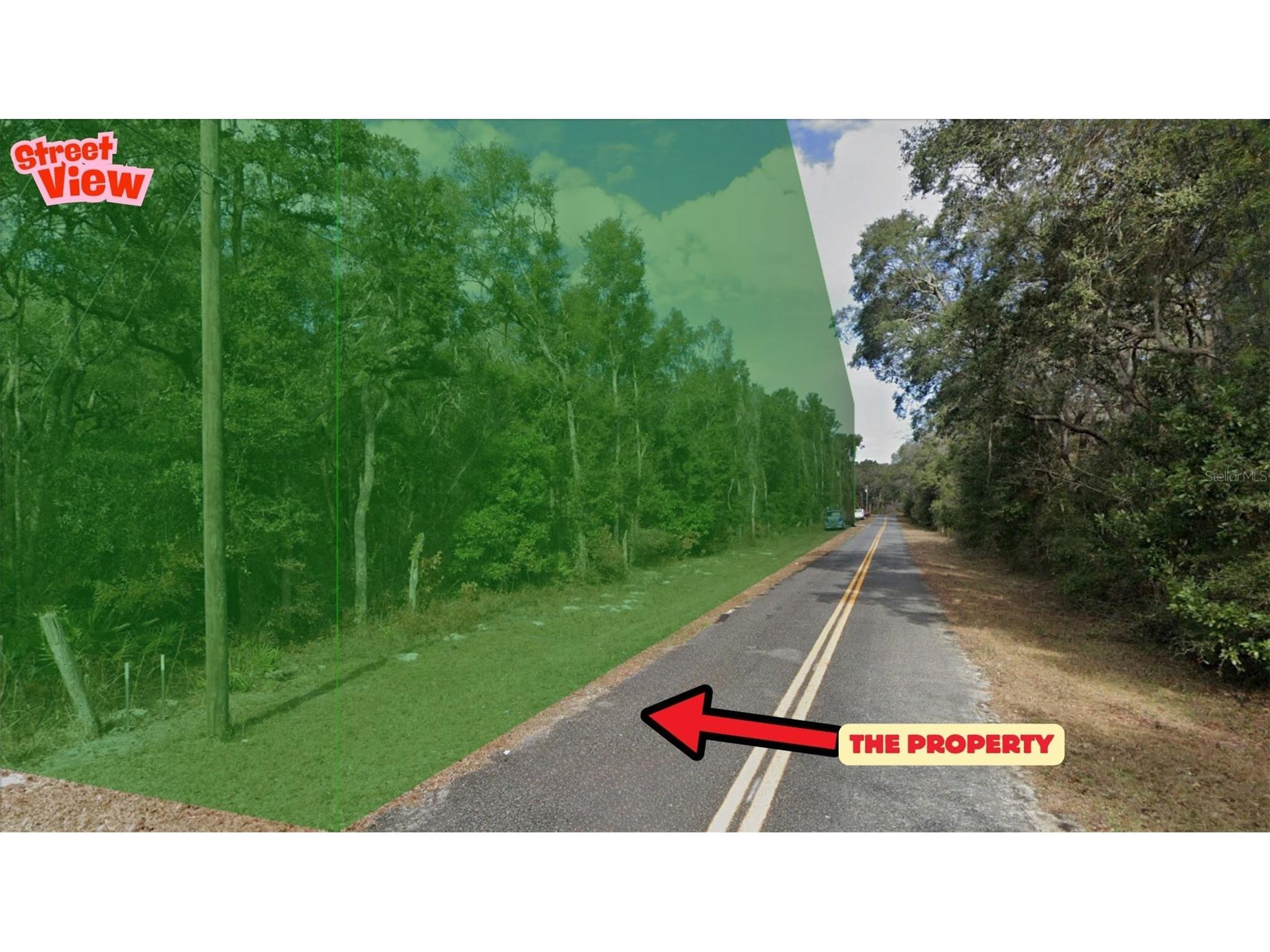 NW 85th Avenue Chiefland FL 32626 TB8480624 image2