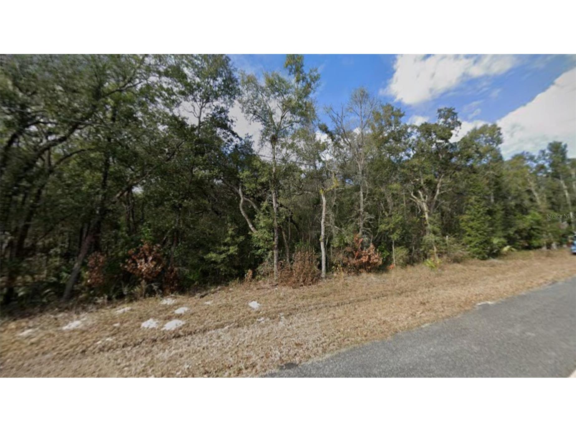NW 85th Avenue Chiefland FL 32626 TB8480624 image23