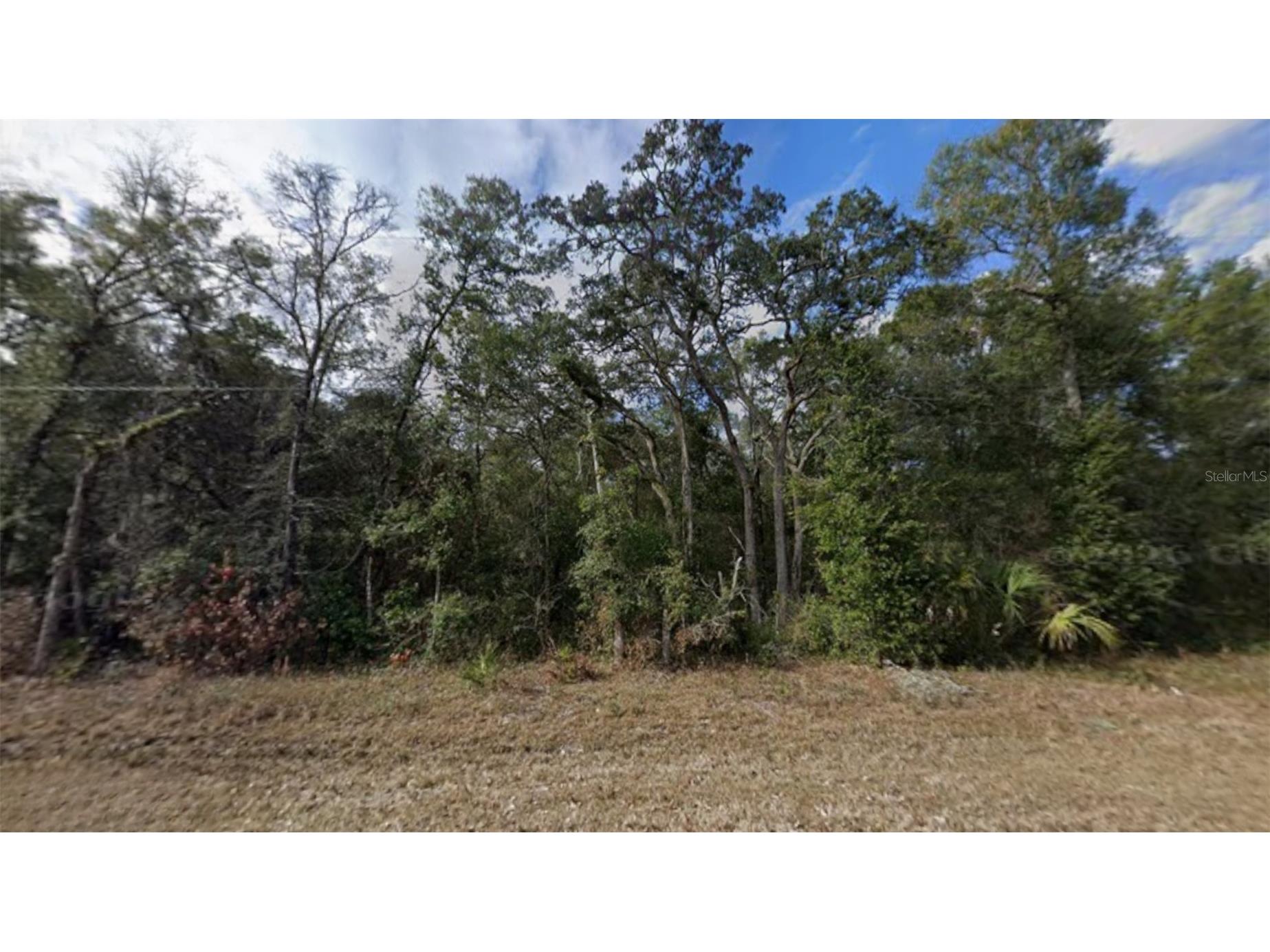 NW 85th Avenue Chiefland FL 32626 TB8480624 image6