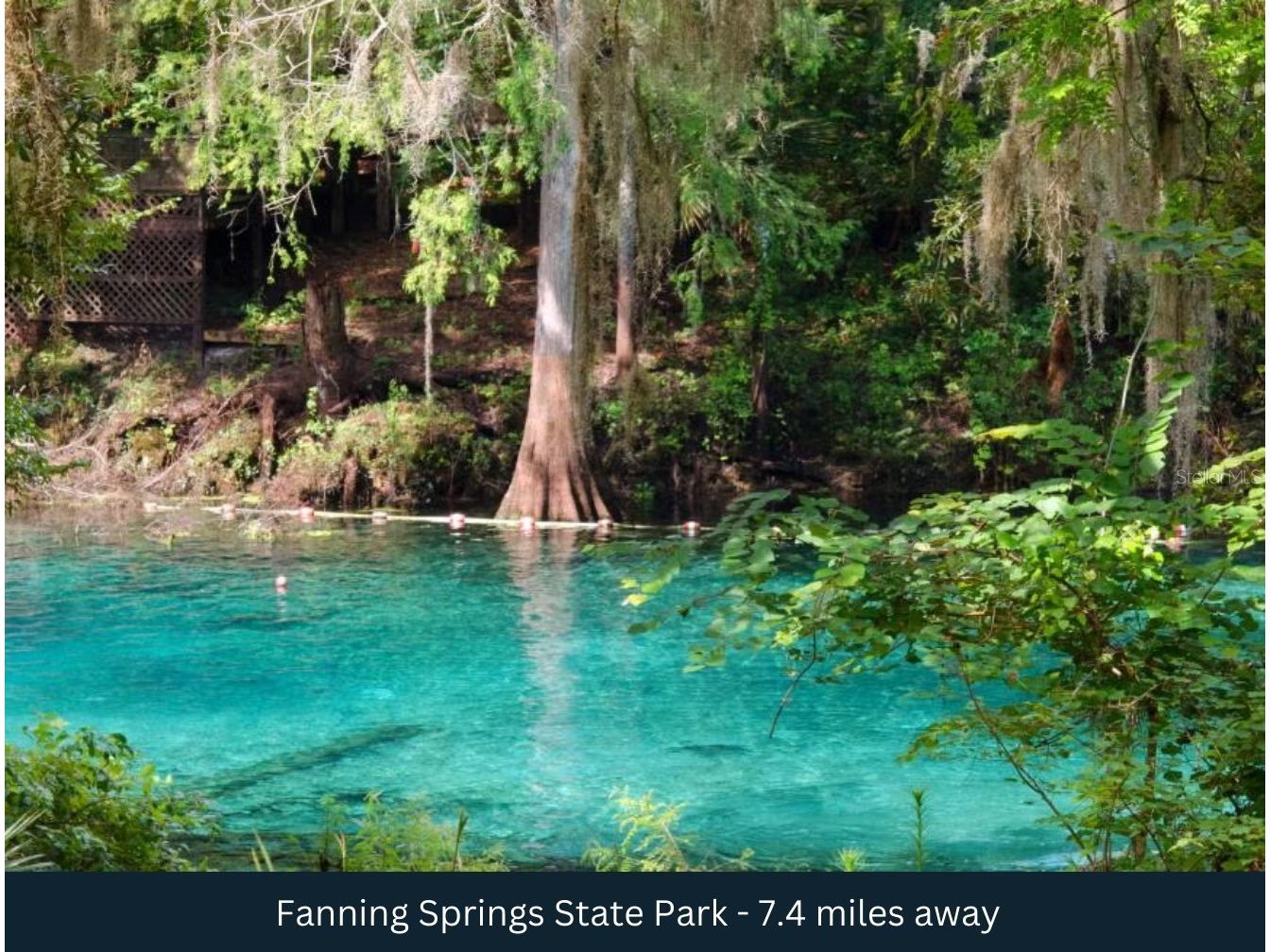 NW 85th Avenue Chiefland FL 32626 TB8480624 image8