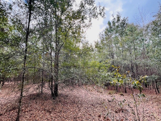 NW 85th Street Bell FL 32619 GC530132 image1