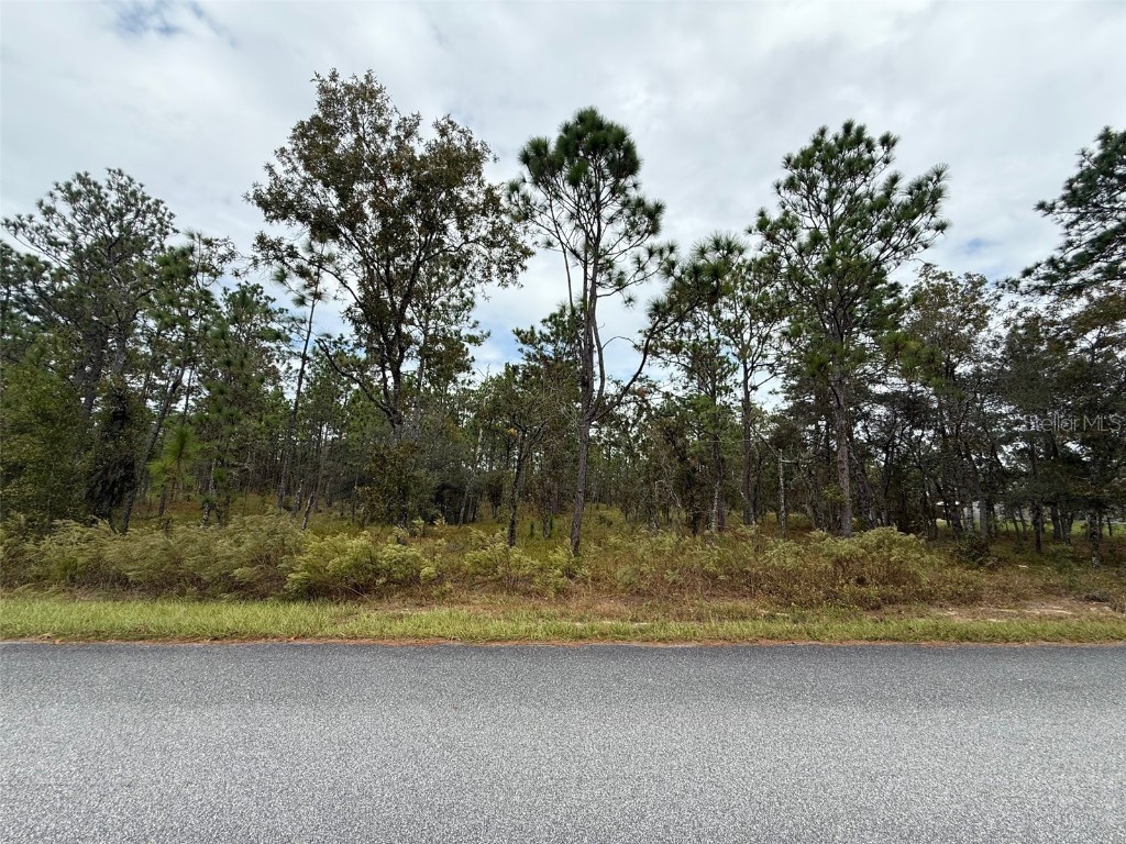 Nw Amberjack Avenue Dunnellon FL 34431 L4956794 image1