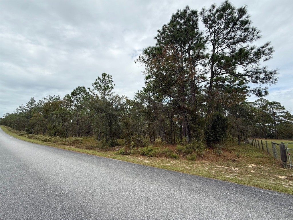 Nw Amberjack Avenue Dunnellon FL 34431 L4956794 image2