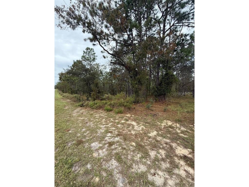 Nw Amberjack Avenue Dunnellon FL 34431 L4956794 image3