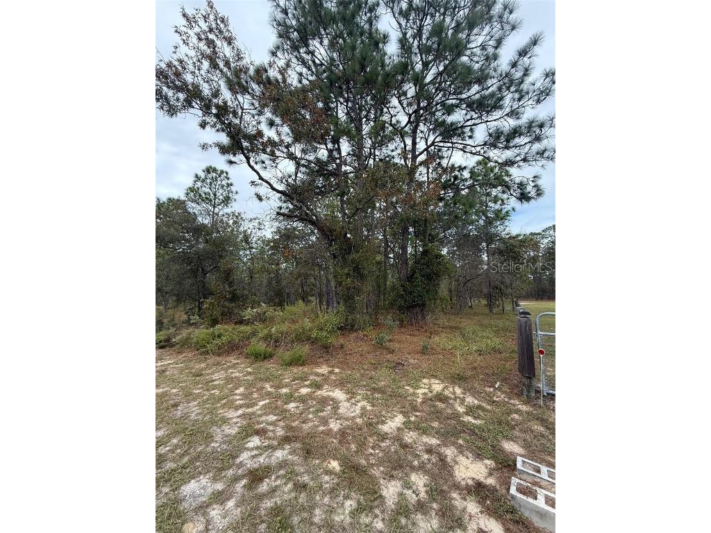 Nw Amberjack Avenue Dunnellon FL 34431 L4956794 image4