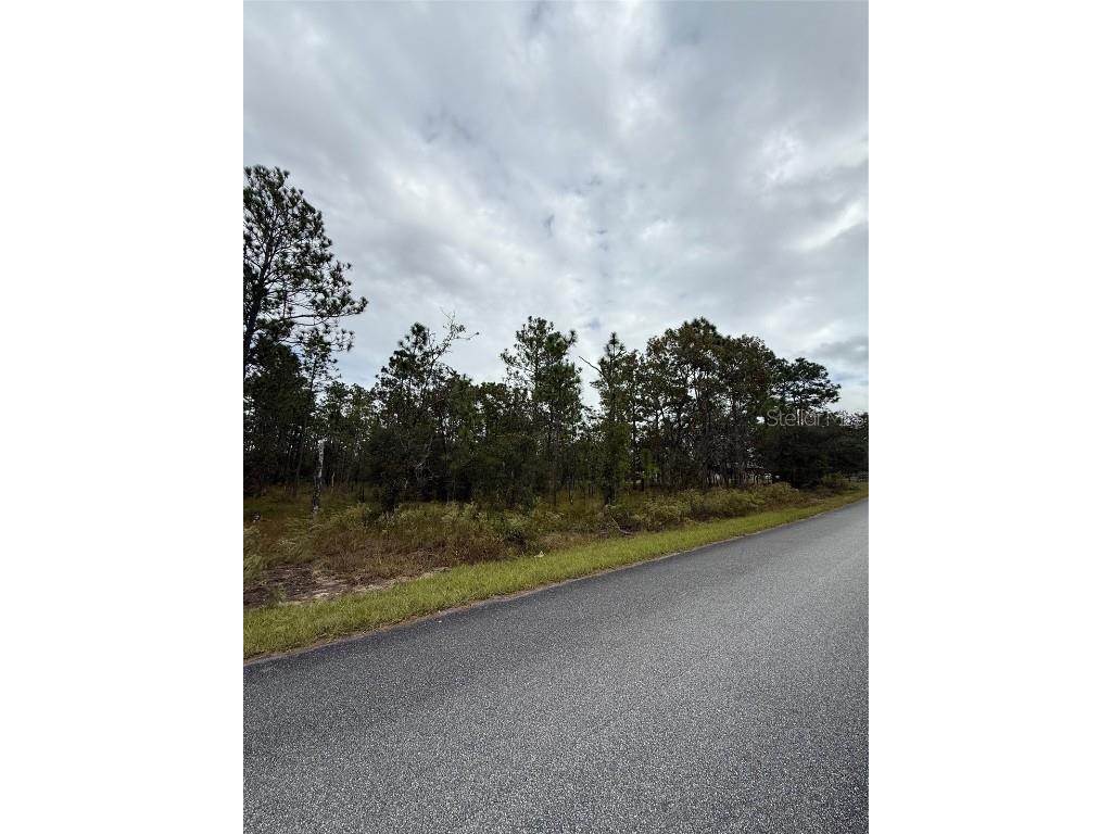 Nw Amberjack Avenue Dunnellon FL 34431 L4956794 image5
