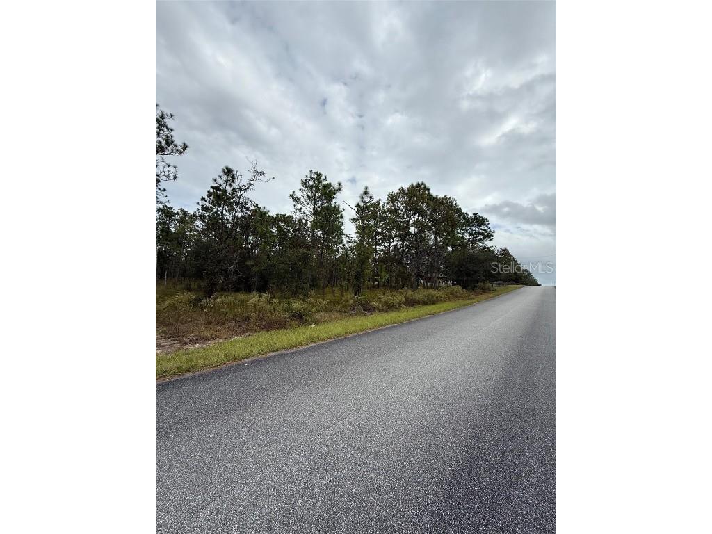 Nw Amberjack Avenue Dunnellon FL 34431 L4956794 image6