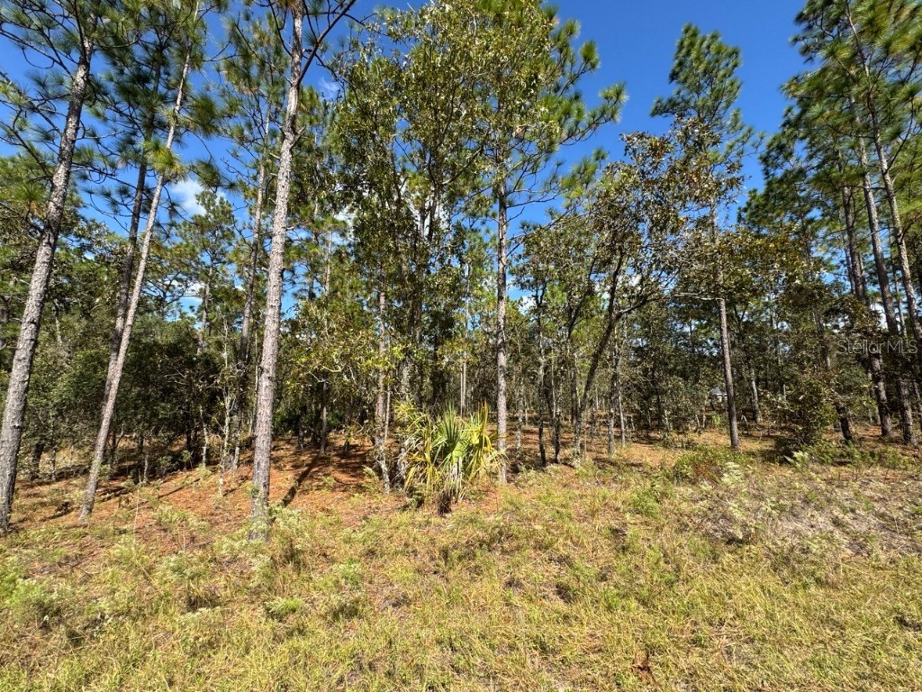 NW Amberjack Avenue Dunnellon FL 34431 - BONABLE & TIGER LAKE OM688544 image1