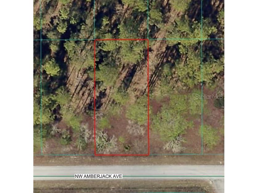 NW Amberjack Avenue Dunnellon FL 34431 OM717044 image1