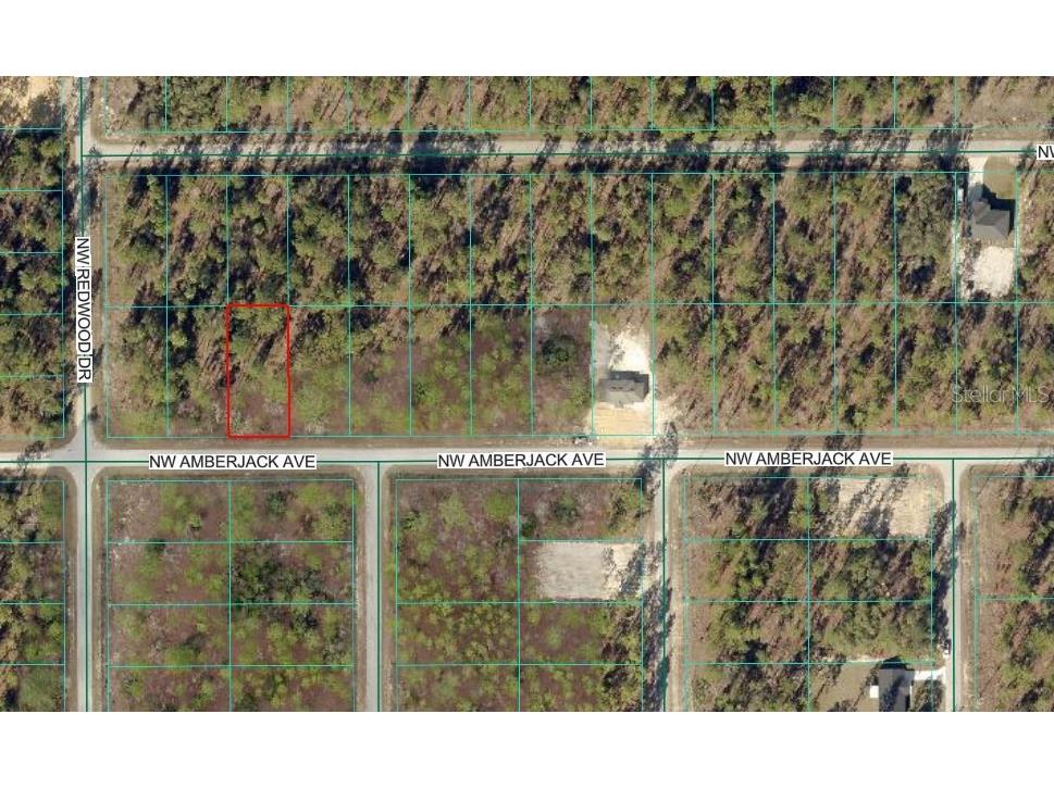 NW Amberjack Avenue Dunnellon FL 34431 OM717044 image2
