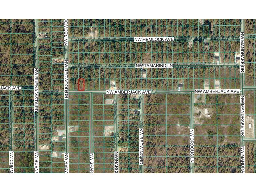 NW Amberjack Avenue Dunnellon FL 34431 OM717044 image3