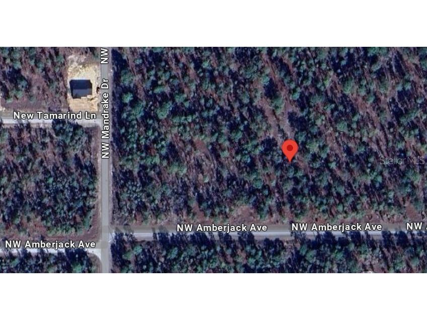 NW Amberjack Avenue #LOT 33 Dunnellon FL 34431 U8243200 image10