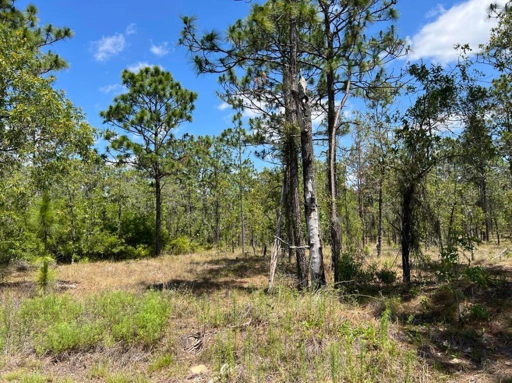 NW Amberjack Avenue #LOT 33 Dunnellon FL 34431 U8243200 image2