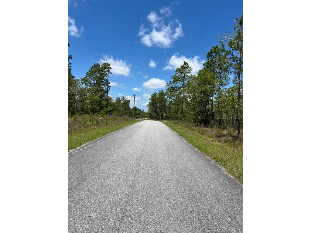 NW Amberjack Avenue #LOT 33 Dunnellon FL 34431 U8243200 image3