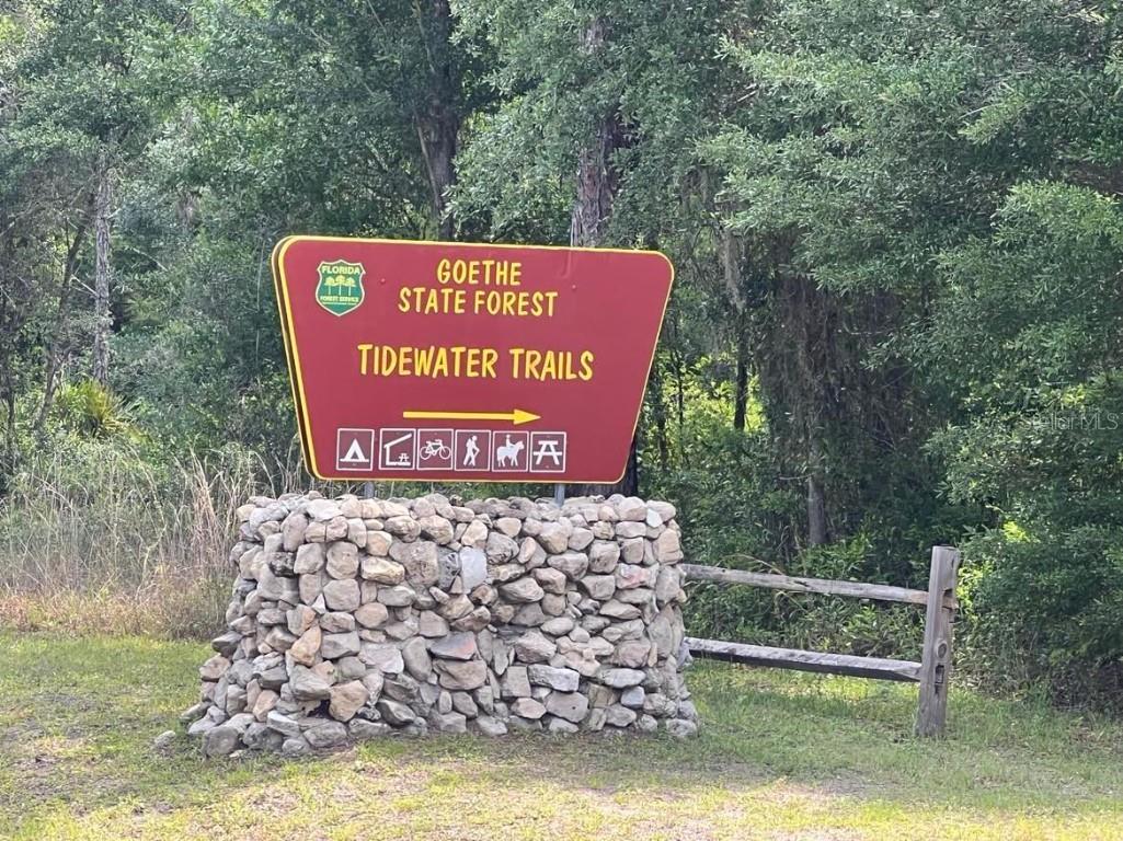 NW Amberjack Avenue #LOT 33 Dunnellon FL 34431 U8243200 image4