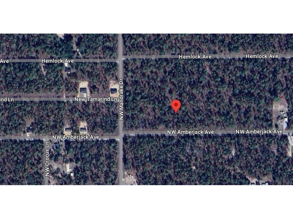 NW Amberjack Avenue #LOT 33 Dunnellon FL 34431 U8243200 image5