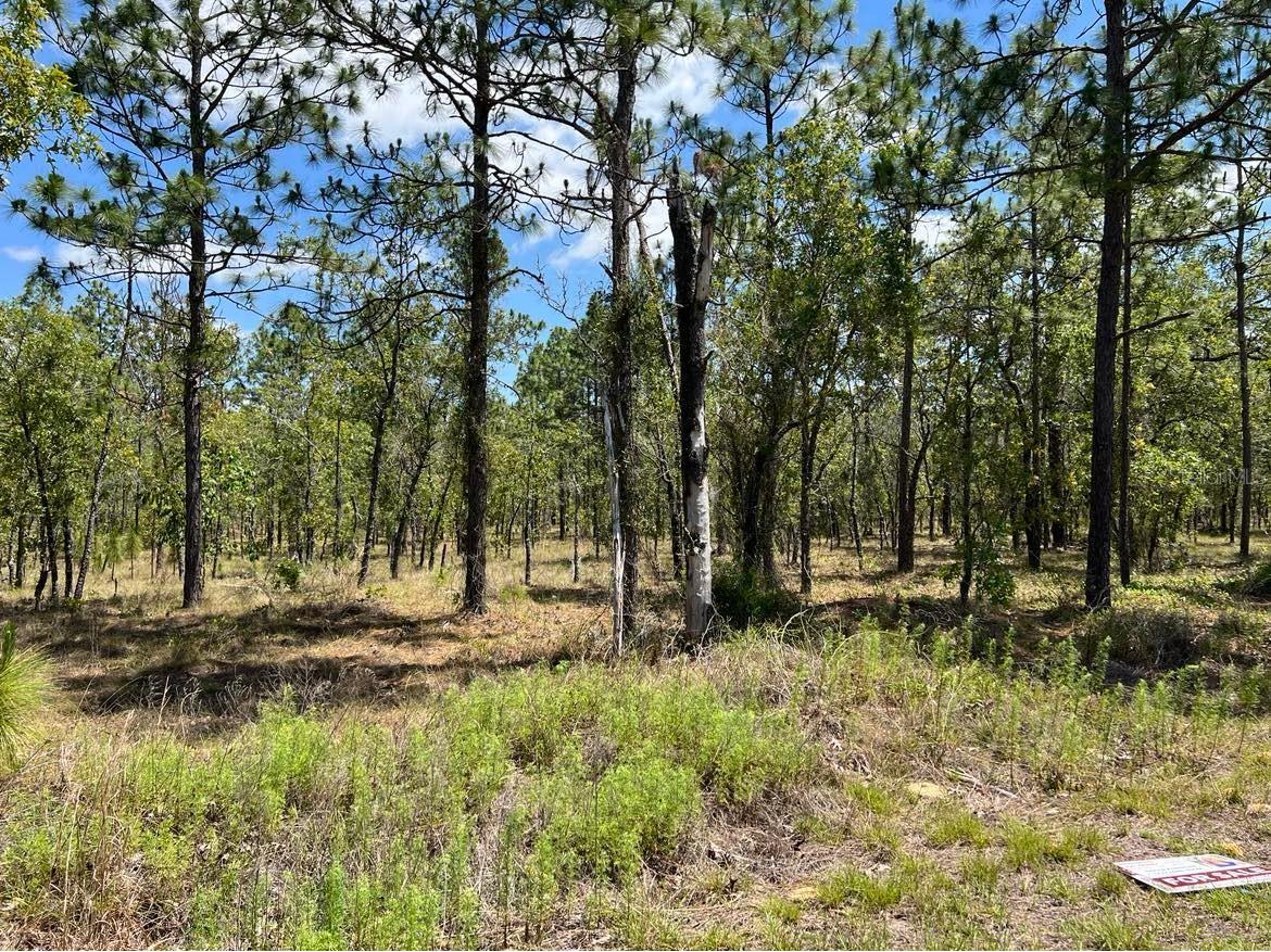 NW Amberjack Lot #33 Dunnellon FL 34431 TB8504793 image1