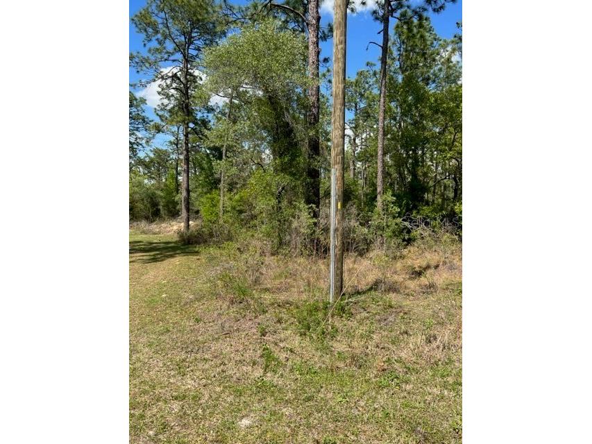 NW Aspen Lane Dunnellon FL 34431 U8202169 image1