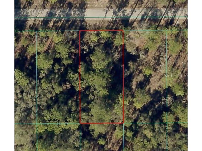Nw Banyan Ln Dunnellon FL 34431 OM717058 image1